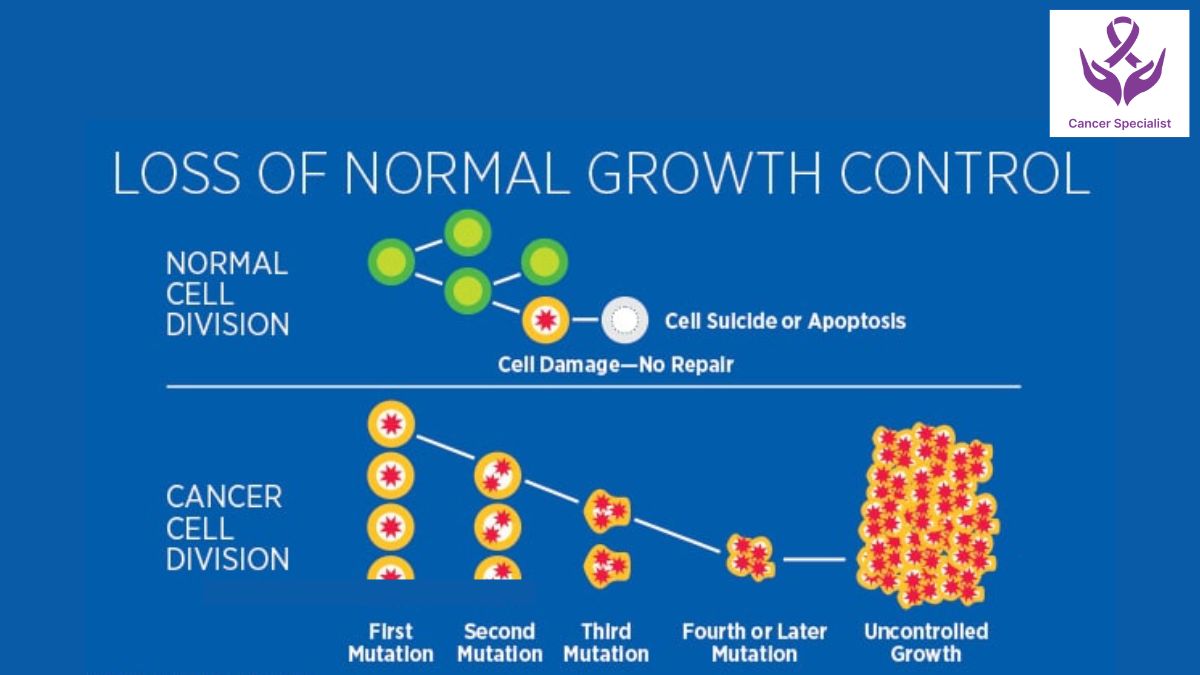Know Everthing about Cancer by Dr Suyash Agrawal - A Cancer Doctor (3)